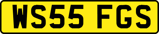 WS55FGS