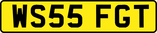 WS55FGT