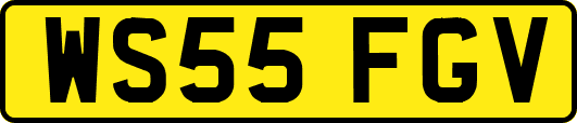 WS55FGV