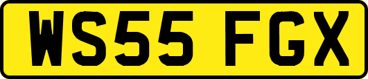 WS55FGX