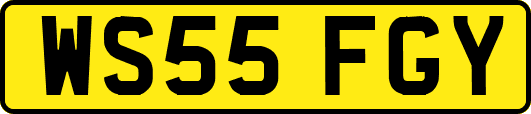 WS55FGY