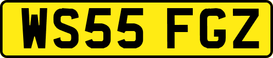 WS55FGZ