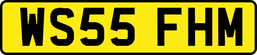 WS55FHM