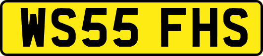 WS55FHS