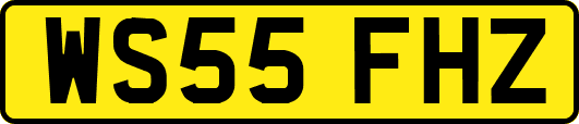 WS55FHZ