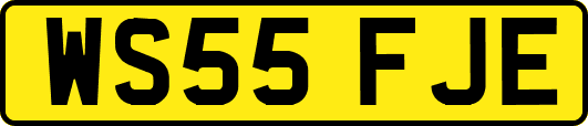 WS55FJE