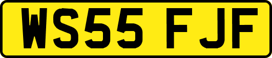 WS55FJF