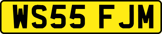 WS55FJM