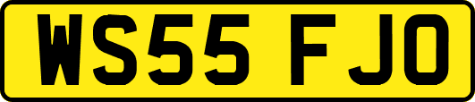 WS55FJO