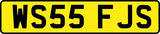 WS55FJS