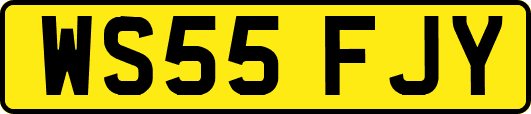 WS55FJY