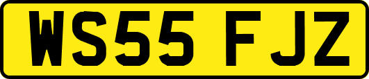 WS55FJZ