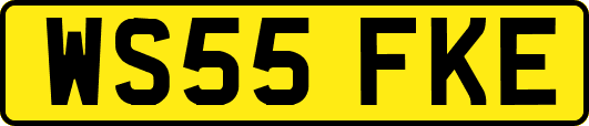 WS55FKE