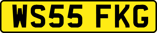 WS55FKG