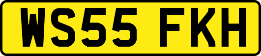 WS55FKH