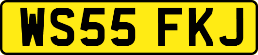 WS55FKJ