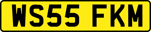 WS55FKM