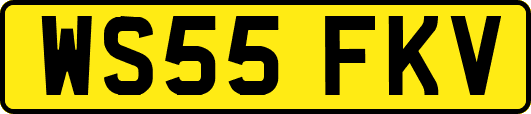 WS55FKV