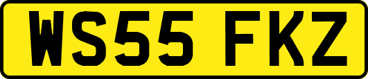WS55FKZ