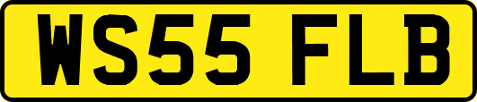 WS55FLB