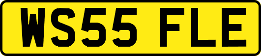 WS55FLE