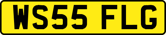 WS55FLG