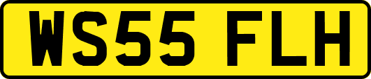 WS55FLH