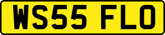 WS55FLO