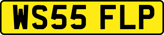 WS55FLP