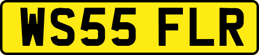 WS55FLR