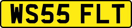 WS55FLT