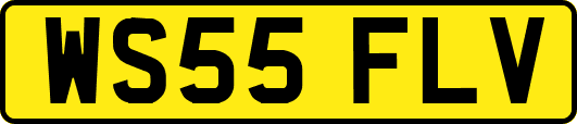 WS55FLV
