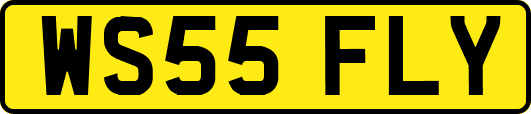 WS55FLY