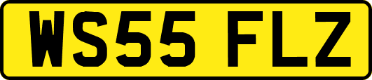 WS55FLZ