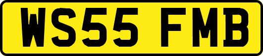 WS55FMB