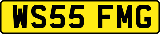 WS55FMG