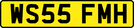 WS55FMH