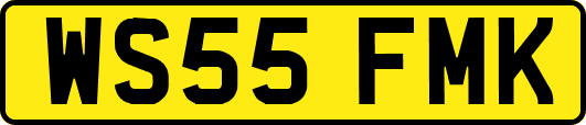 WS55FMK