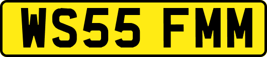 WS55FMM