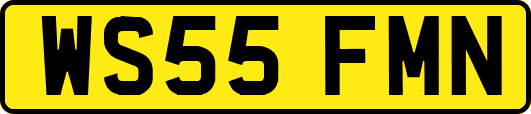 WS55FMN