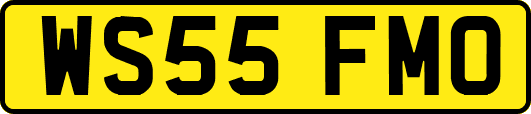 WS55FMO