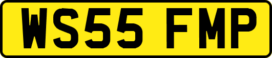 WS55FMP
