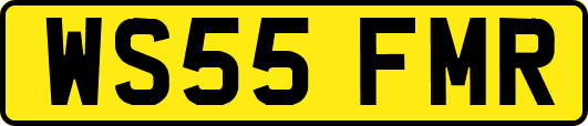 WS55FMR
