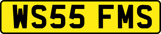 WS55FMS