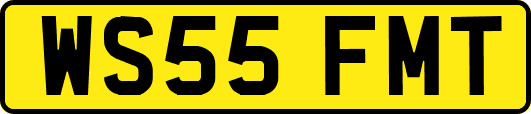 WS55FMT