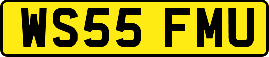WS55FMU