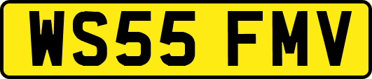 WS55FMV