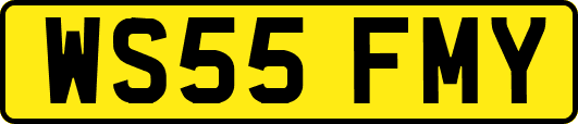 WS55FMY