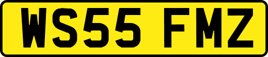 WS55FMZ