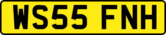 WS55FNH